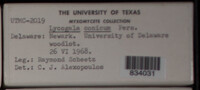 Image Associated With the Occurence